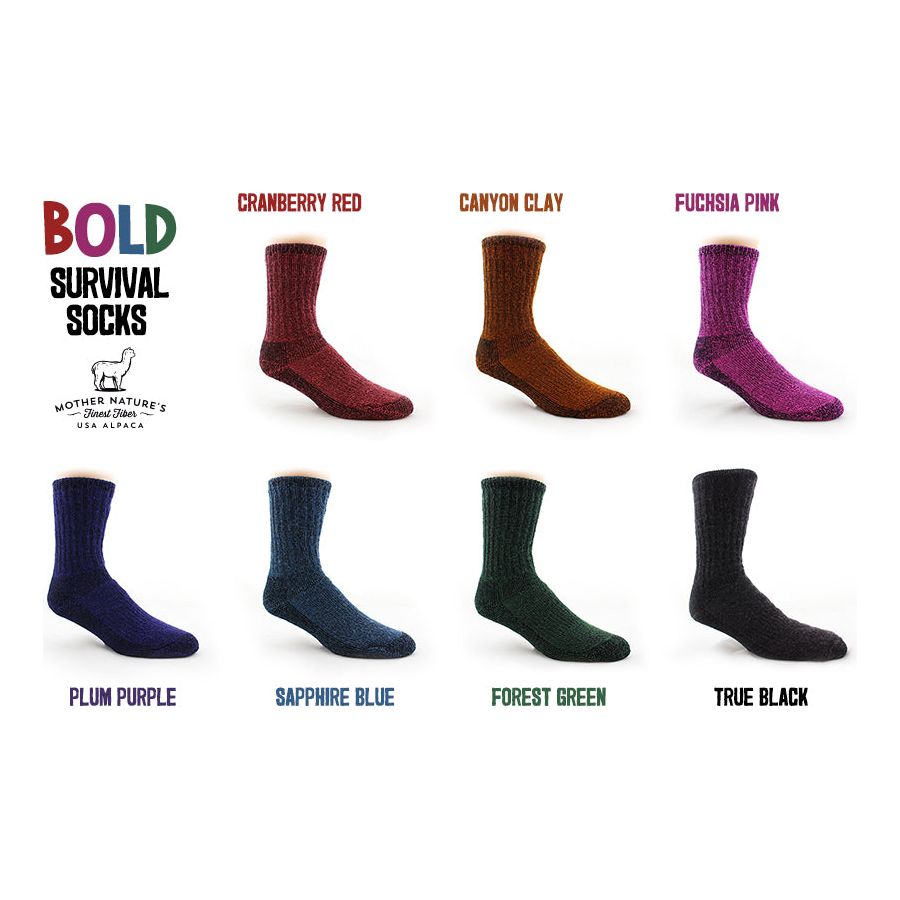 Photo showing a logo saying bold survival socks with an outline of an alpaca along with 7 single socks showing the colors cranberry red, canyon clay, fuchsia pink, plum purple, sapphire blue, forest green, true black