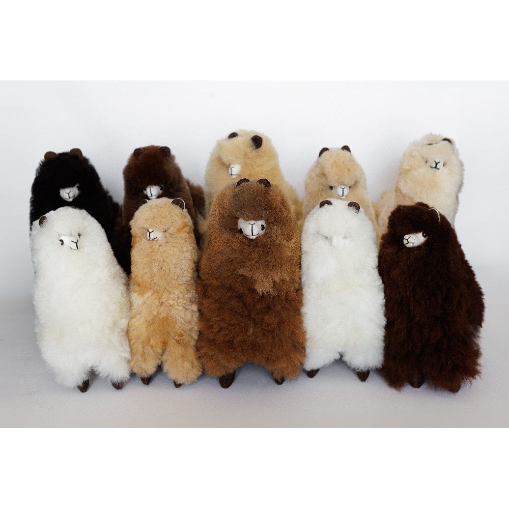 Standing Alpaca