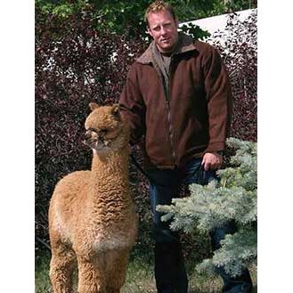 Man standing with alpaca wearing the alpaca barn jacket in color brown