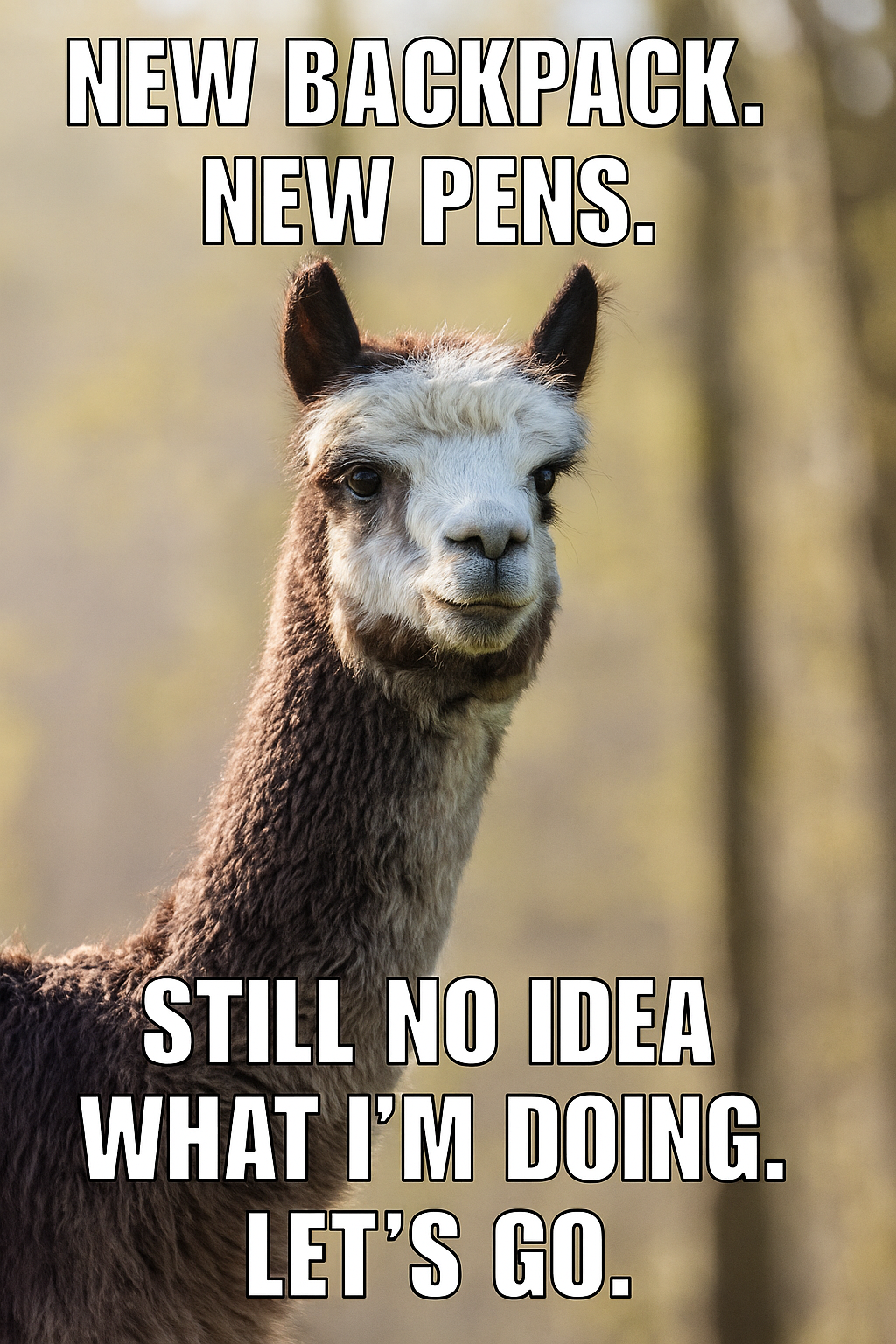 Alpaca of the Month - Back to School