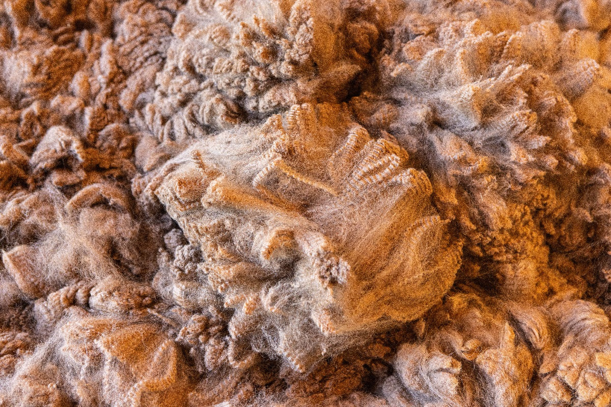 Throws & Yarns