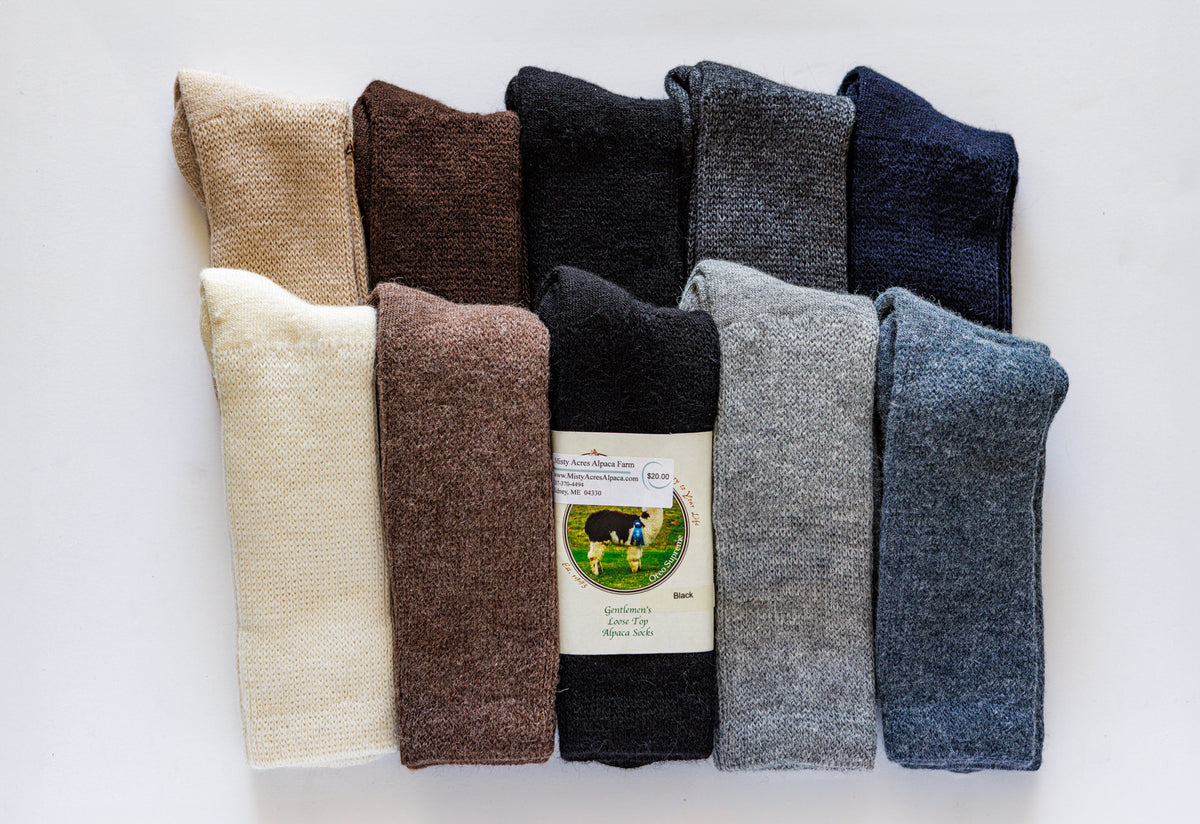 Picture of 2 rows of 6 socks in colors Black, Charcoal, Lt Grey, Navy, Denim, Ivory, Tan, Cocoa, Brown