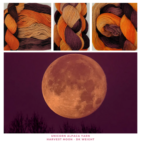 Harvest Moon Handdyed Worsted Yarn